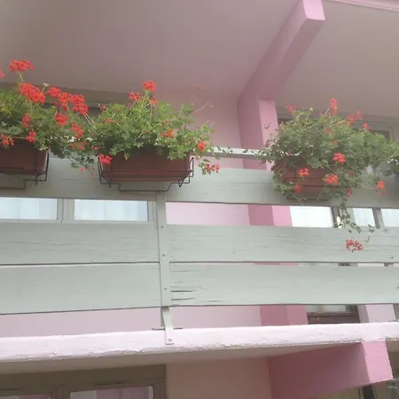 Fleuritel 2*